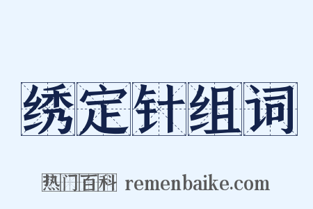 绣定针组词是什么意思的图片